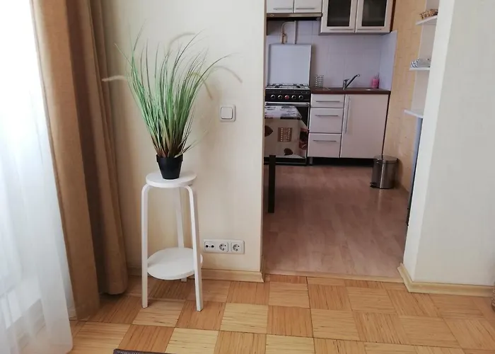 15 Minutes From The And Center 7 Minutes From The Airport * Ρίγα